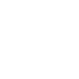 Logo da PazConcept